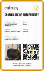 CHANEL Quilted Tassel Camera Crossbody Bag - BAGPHIC