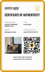 LOUIS VUITTON Monogram Speedy 30 Handbag - BAGPHIC