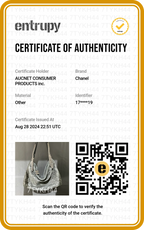 CHANEL Black Quilted Hobo Shoulder Bag with Chain Strap - BAGPHIC