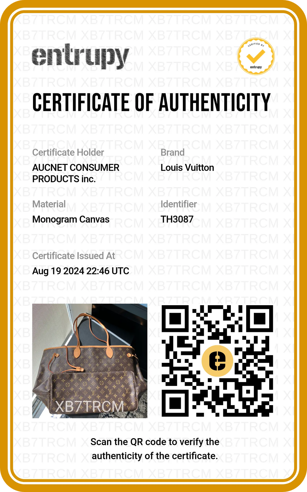 LOUIS VITTON Neverfull GM - BAGPHIC
