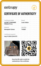 LOUIS VITTON Neverfull GM - BAGPHIC