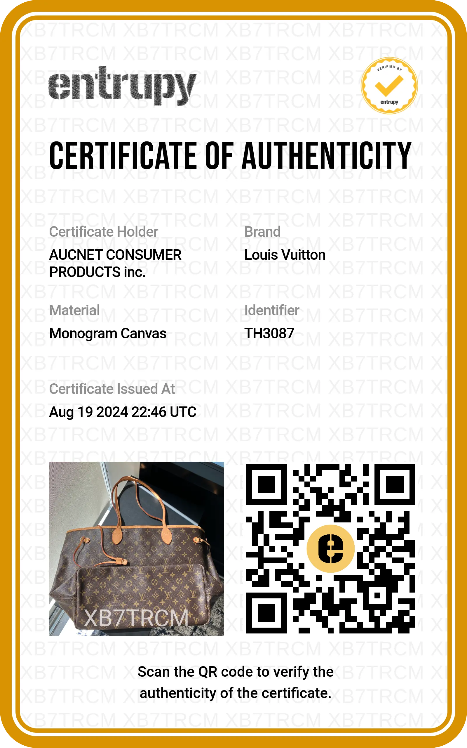 LOUIS VITTON Neverfull GM - BAGPHIC