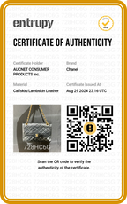 CHANEL Limited Edition Paris Double Flap Two Tone Coco Logo Bag - BAGPHIC