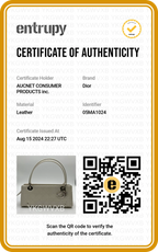 Dior White Canage Quilted West/East bag - BAGPHIC