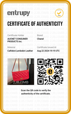 CHANEL Pink Quilted Wallet on Chain Lambskin Boy Bag - BAGPHIC