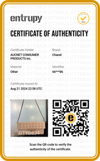 CHANEL Travel Line East West Flap Bag CHANEL