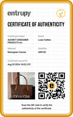 LOUIS VUITTON Monogram Raspail Tote PM - BAGPHIC