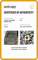 Dior Black/Gray Canvas Trotter Shoulder bag - BAGPHIC