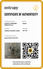 CHANEL Ring Chain Black Hobo Bag - BAGPHIC