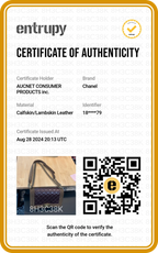 CHANEL Brown Leather and Suede Paris-Edinburgh Boy Bag - BAGPHIC