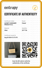 CHANEL Gold Quilted Paris-Salzburg Wallet on Chain - BAGPHIC
