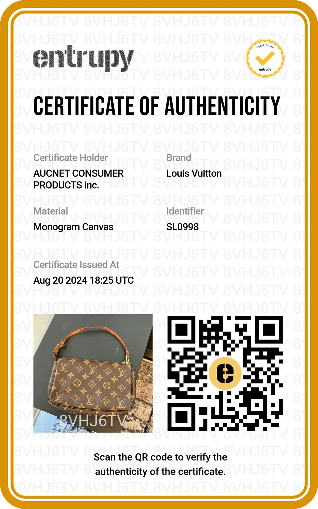 LOUIS VUITTON Monogram Pochette Accessoires Bag - BAGPHIC