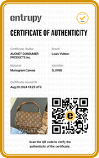 LOUIS VUITTON Monogram Pochette Accessoires Bag - BAGPHIC