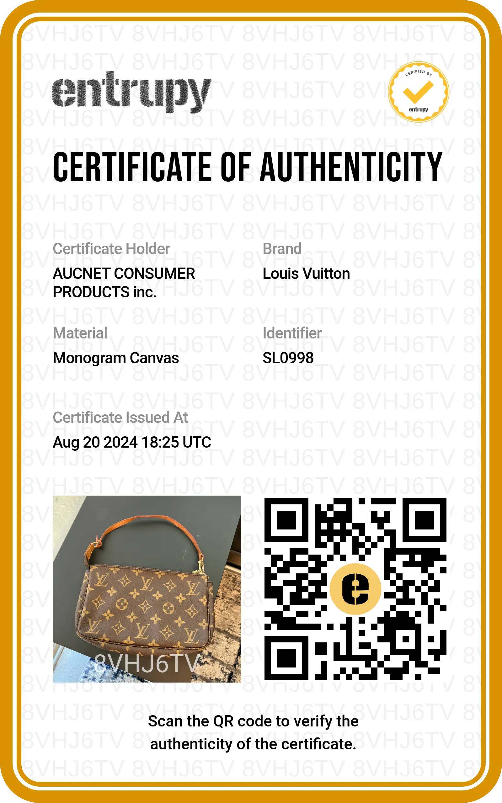 LOUIS VUITTON Monogram Pochette Accessoires Bag - BAGPHIC