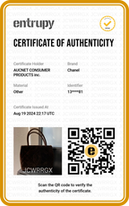 CHANEL Brown Suede Medallion Tote Bag - BAGPHIC