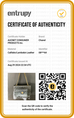 CHANEL Matelassé Flap Shoulder Bag - BAGPHIC