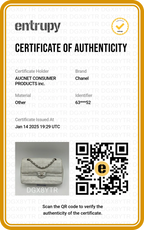 CHANEL Travel Line Silver Shoulder Bag CHANEL