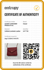 CHANEL Red Chevron V-Stitch Wallet On Chain Shoulder Bag - BAGPHIC