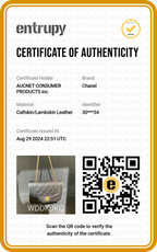 CHANEL Matelasse Diana Crossbody Flap Bag - BAGPHIC