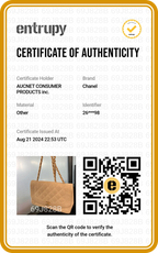 CHANEL Classic Diana Beige Crossbody Flap Bag - BAGPHIC