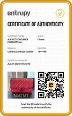 CHANEL Quilted Lambskin Crossing Times Flap crossbody bag - BAGPHIC