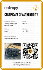 CHANEL Sequin Tweed Icons Chain Accordion Flap Bag - BAGPHIC