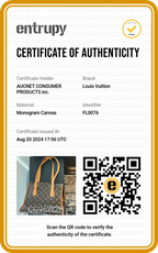 LOUIS VUITTON Monogram Popincourt Haut Bag (Copy) LOUIS VUITTON